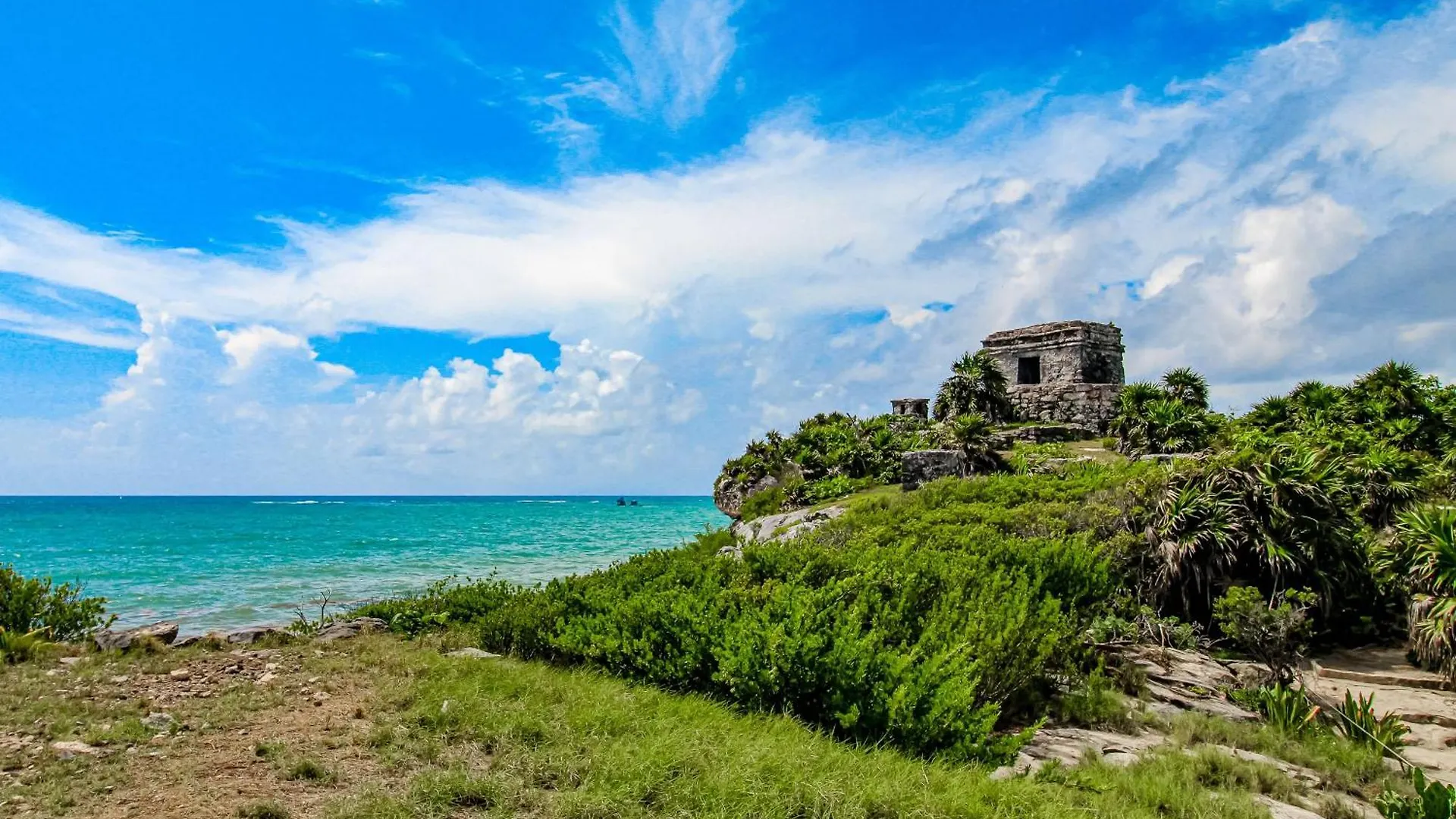 La Selva 303 Sirenis Studio Akumal Mexico